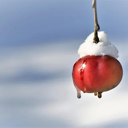 Hof 3* Халленберг