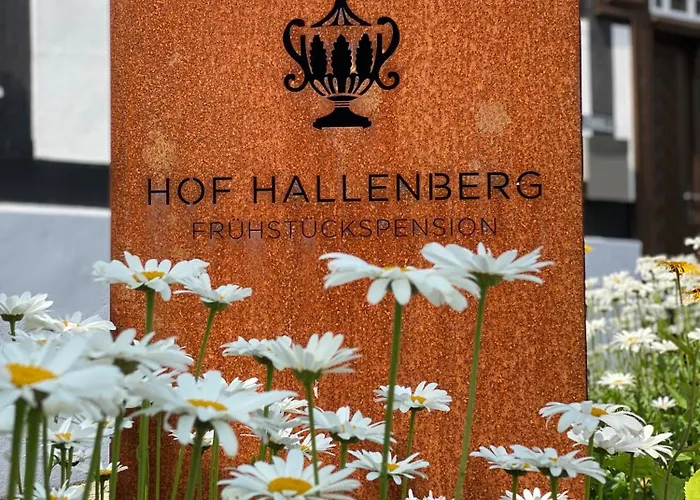 Hof 3* Hallenberg
